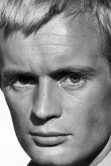 David+McCallum+